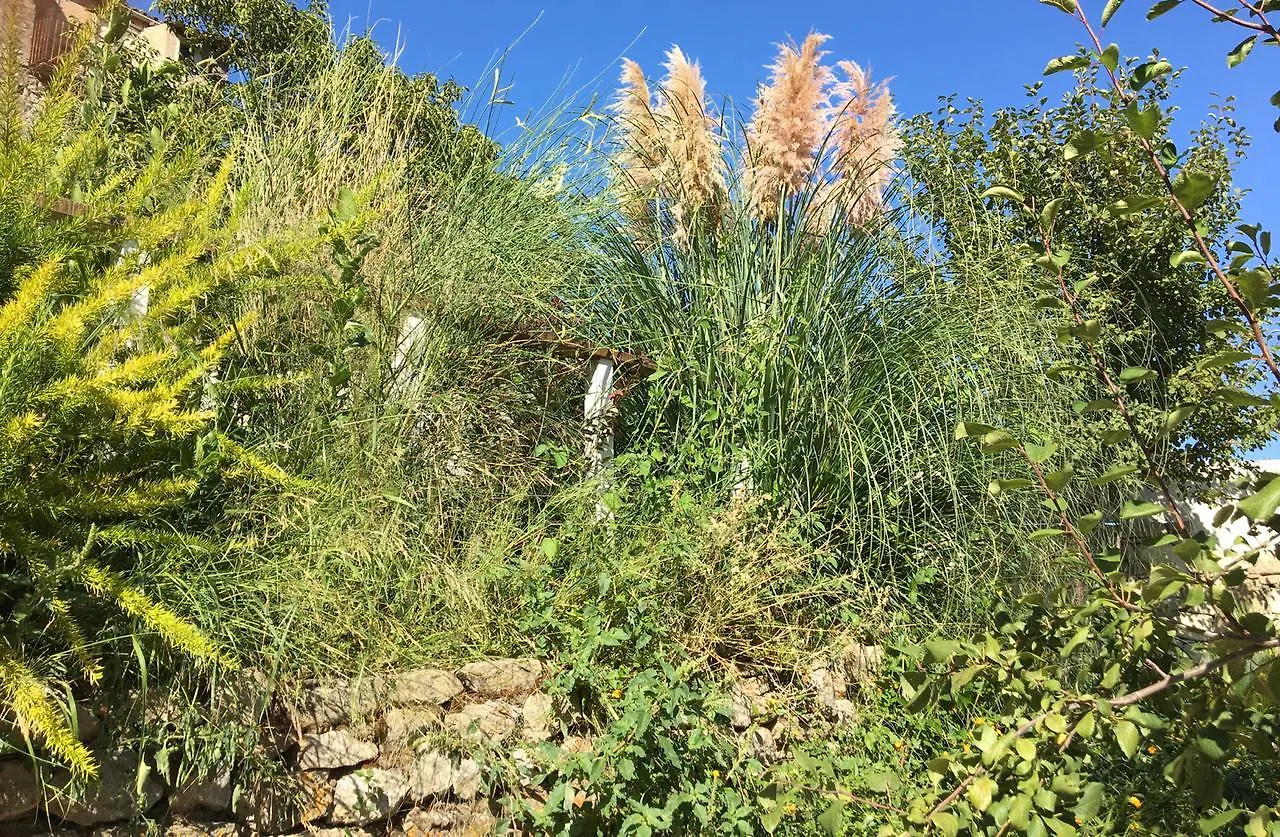 Old Noar Private Villa Novara di Sicilia イタリア